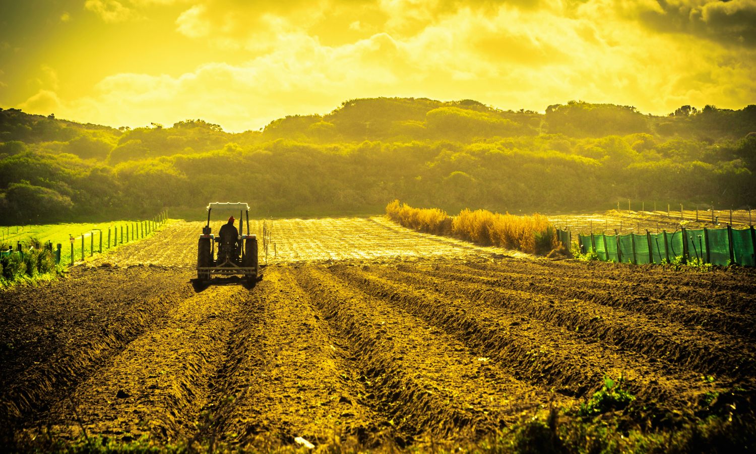 No habrá paz para la agricultura… sin Pacto Verde Europeo