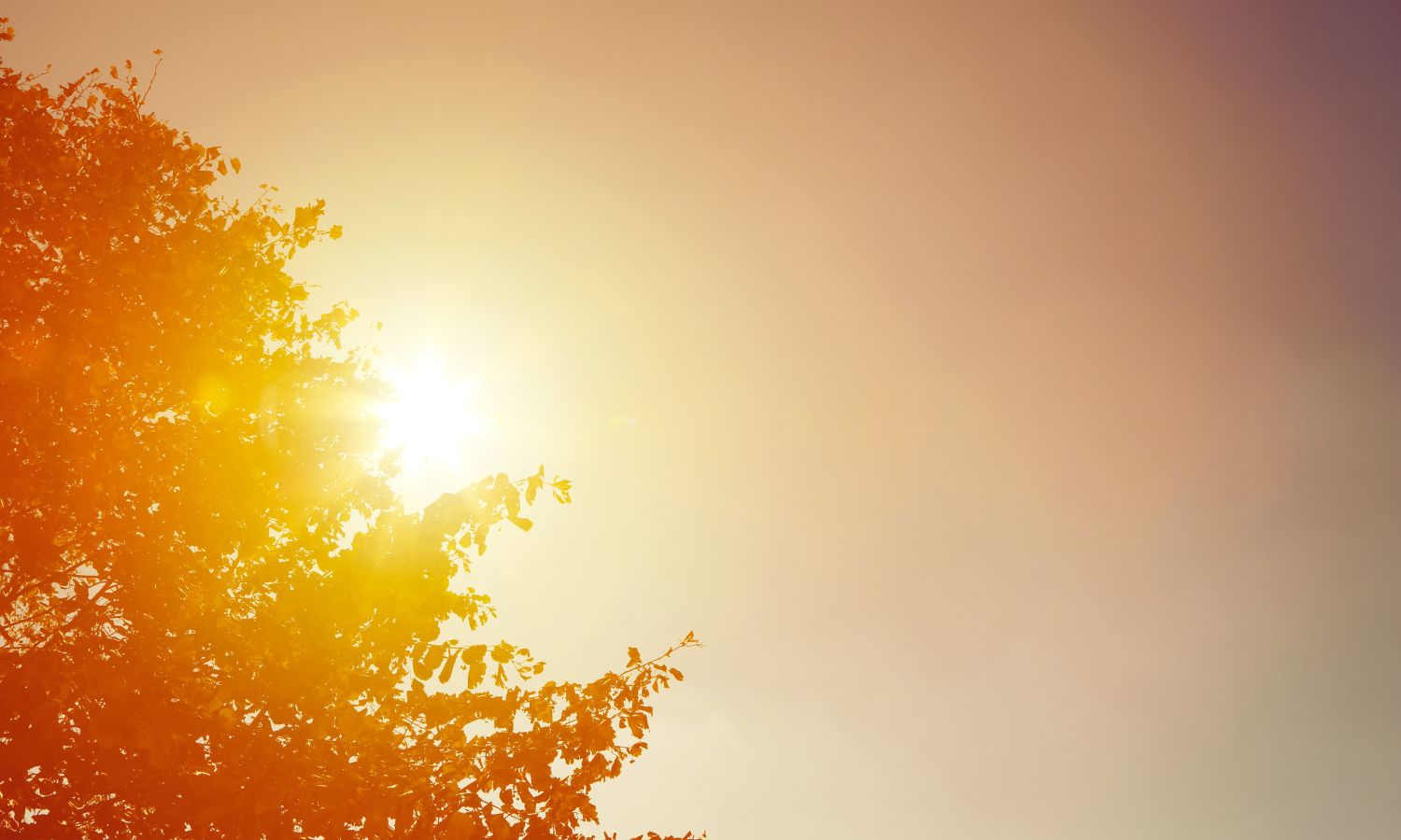 Las temperaturas extremas en la infancia influyen en el desarrollo de la materia blanca del cerebro