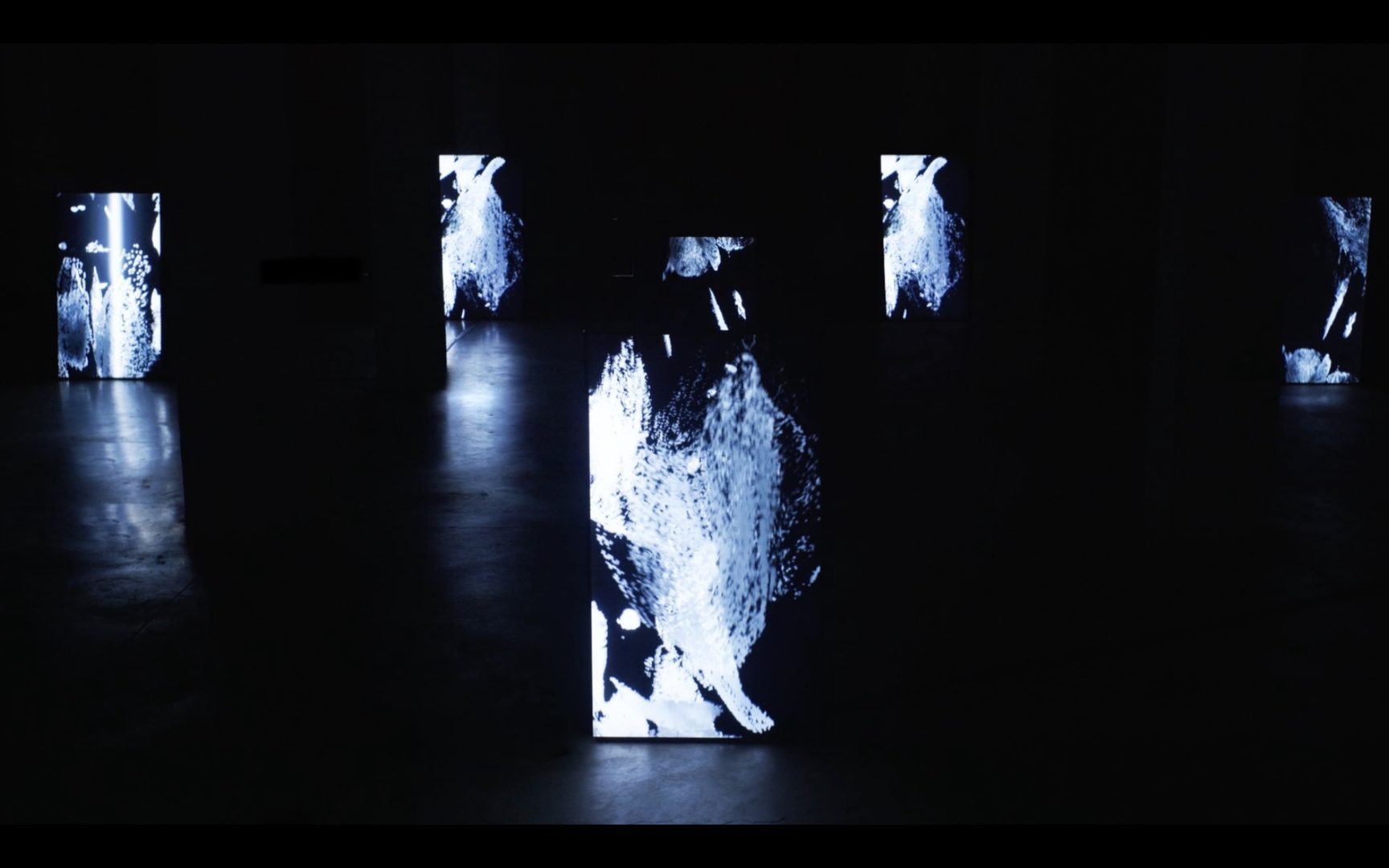 Meditative Cohabitation (2022) - Studio Above & Below