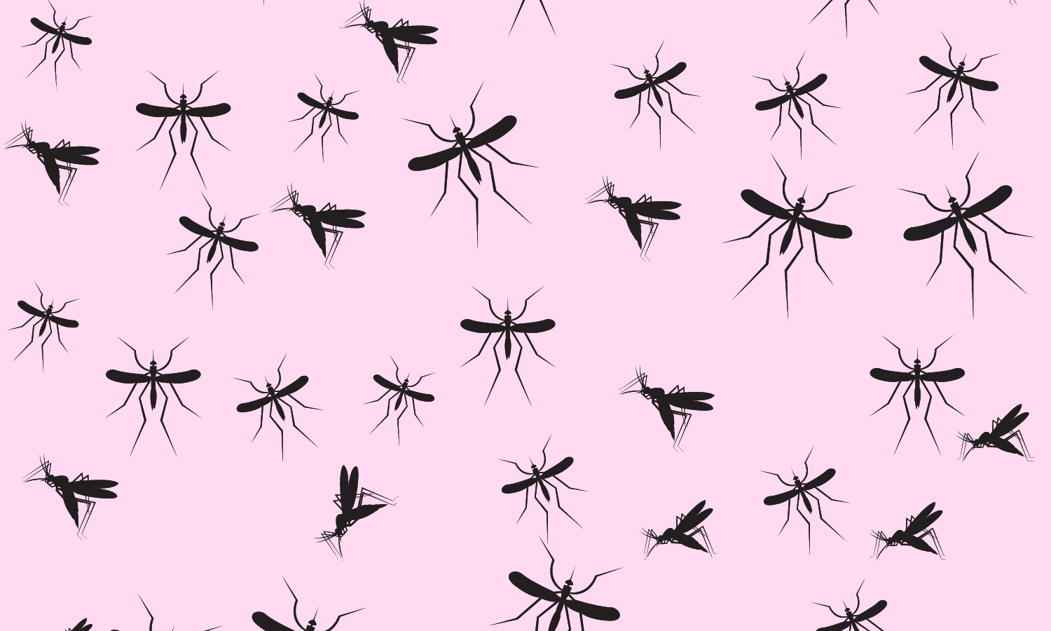 ¿Para qué sirven los mosquitos?