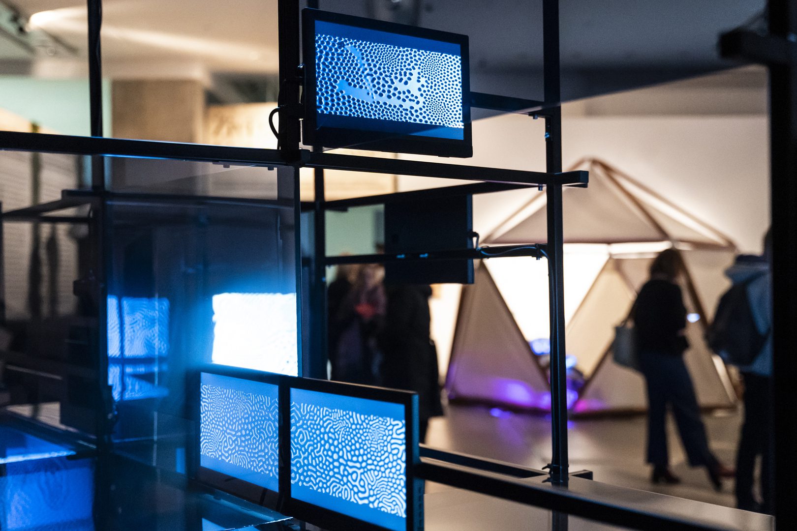 Proteus 4.0 (2023) - Maria Smigielska & Compmonks