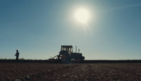 Revivir el campo: todos ganamos con la transición agroecológica