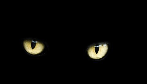 ¿Por qué somos supersticiosos?