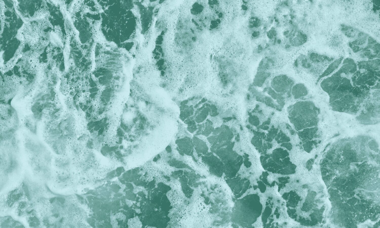 El sumidero de carbono de la naturaleza está fallando