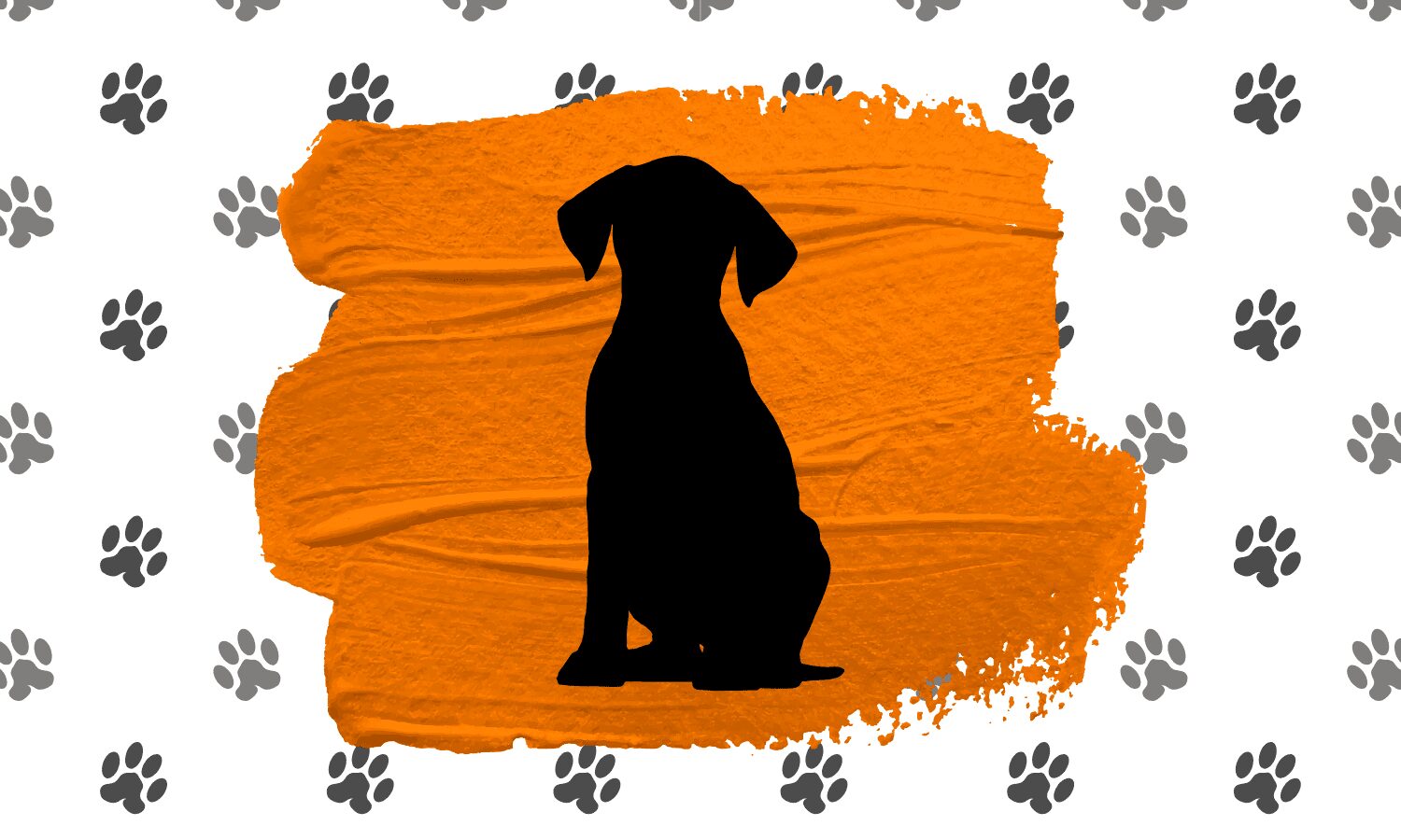El día que «civilizamos» a los perros