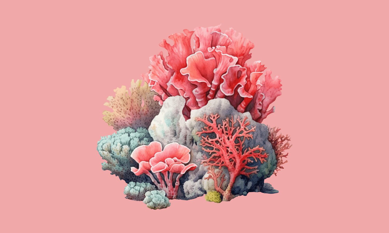 Así podemos salvar los arrecifes de coral