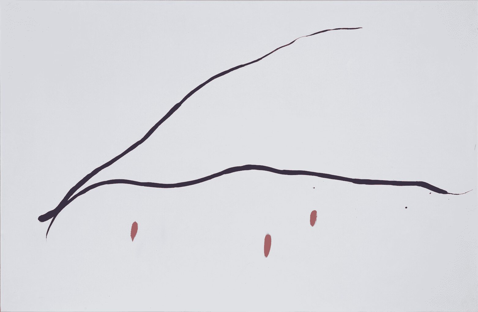 La danse des coquelicots