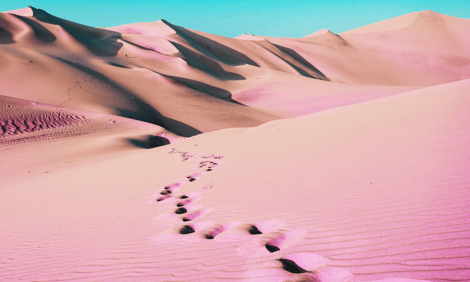 Así funcionan los desiertos como sumideros de carbono