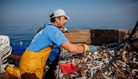 Te necesitamos para mantener vivo nuestro mar