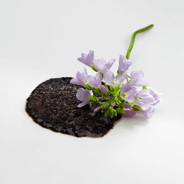 Mugaritz y la transparencia