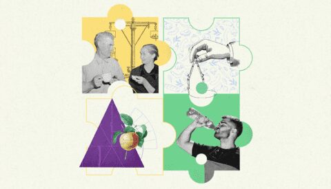 El puzle de la buena alimentación