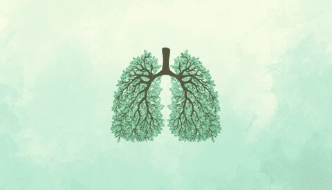 La peligrosa ilusión de no vincular salud, economía y medio ambiente