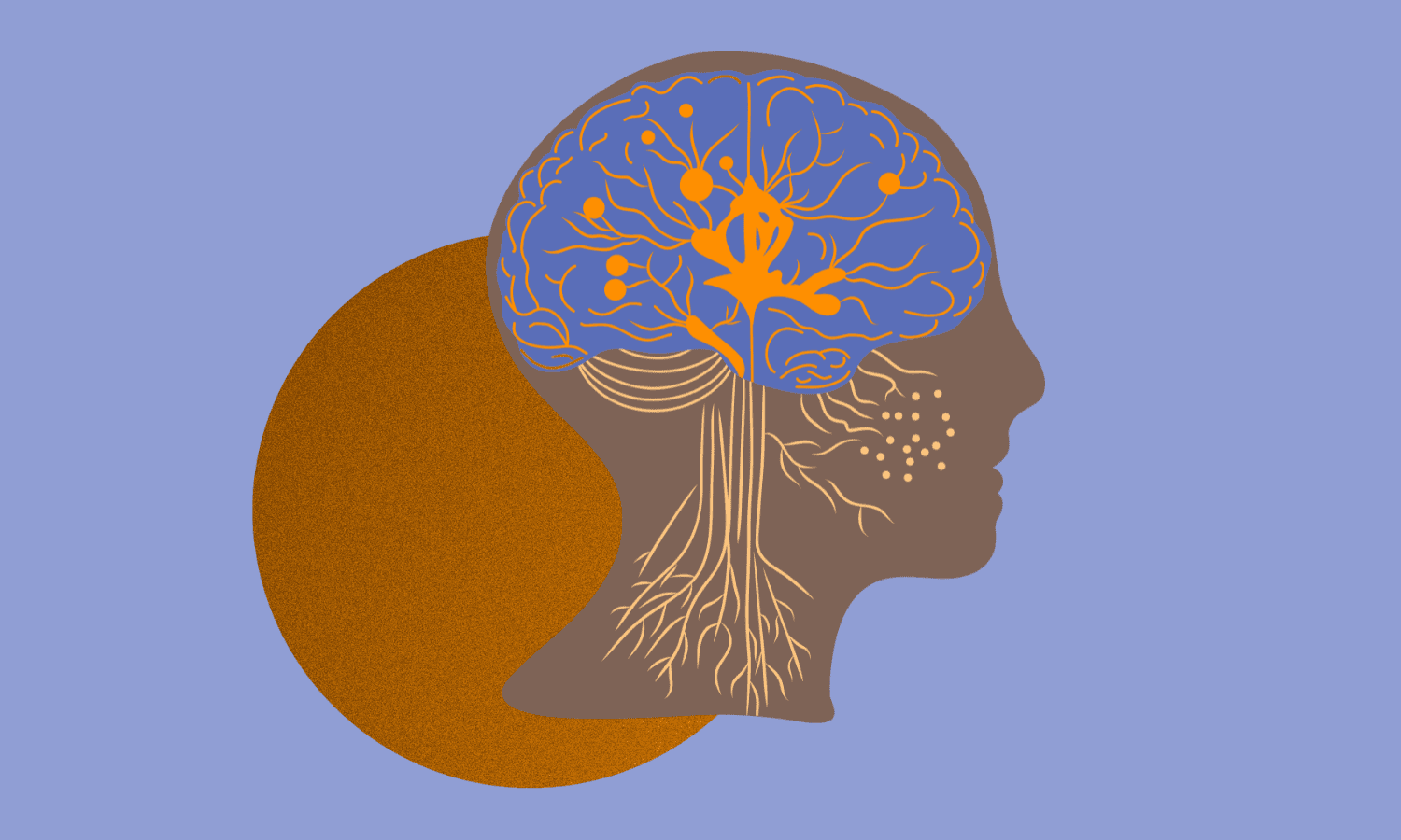 Neuroplasticidad, el cerebro mutable