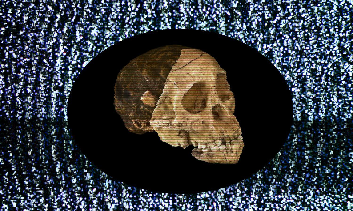 Cinco claves que explican el origen africano de la humanidad
