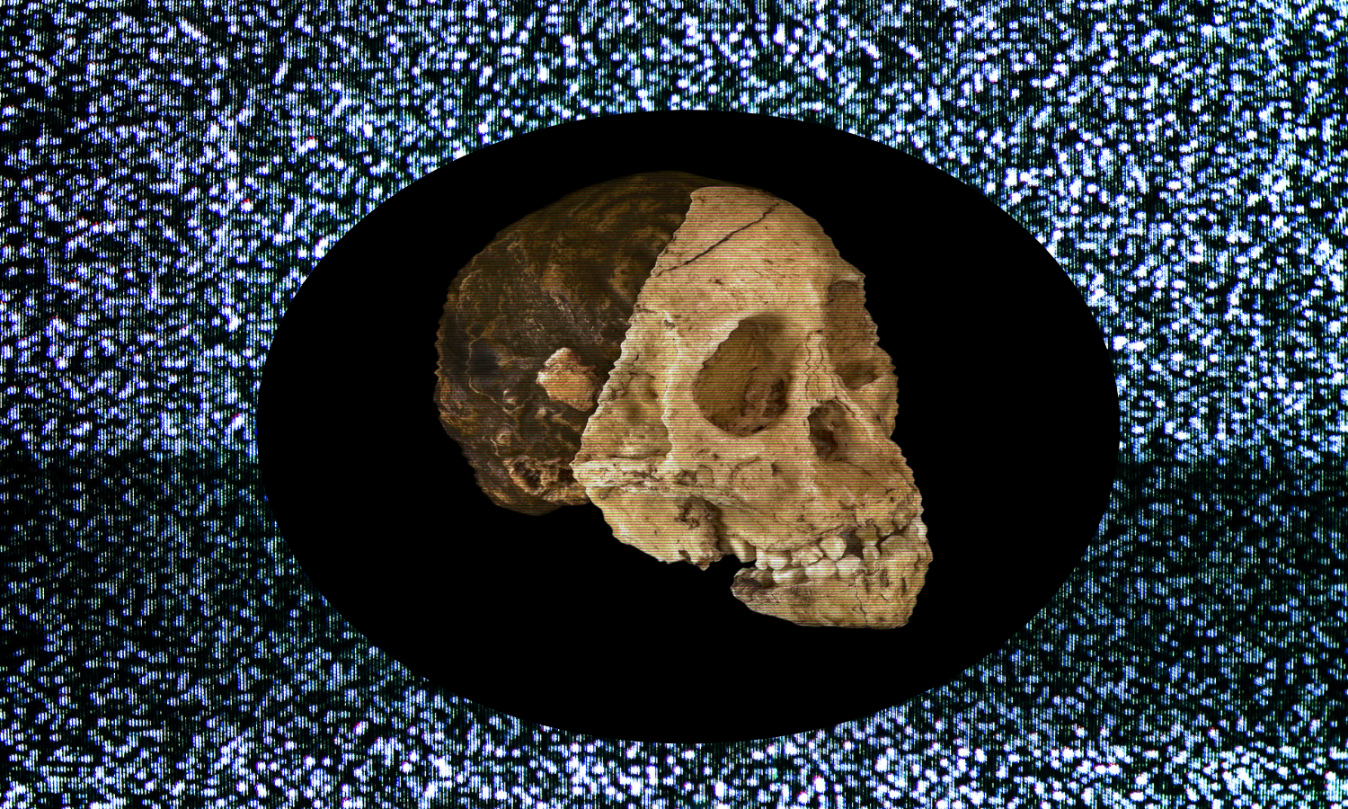 Cinco claves que explican el origen africano de la humanidad