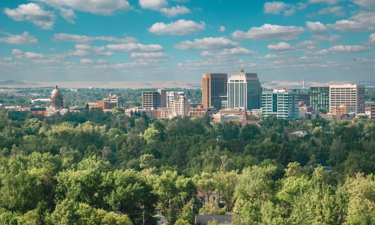 Hemos identificado los árboles que mejor funcionan para refrescar las ciudades