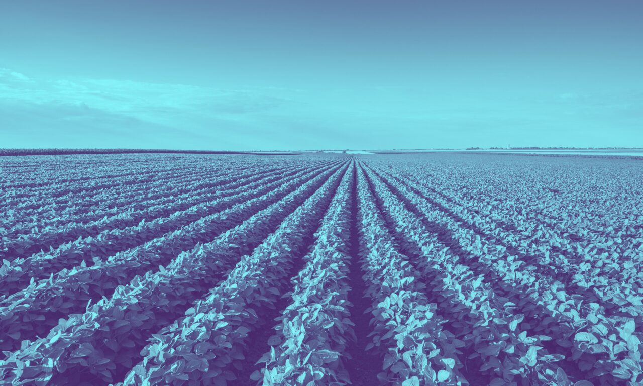 Cómo cosechar más (y mejor) con menos