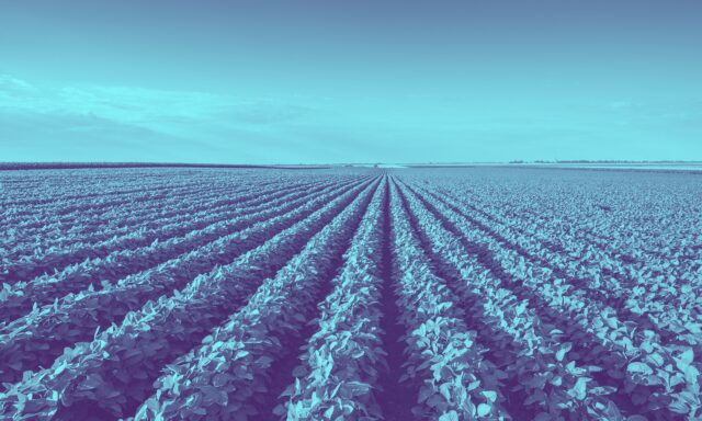 Cómo cosechar más (y mejor) con menos