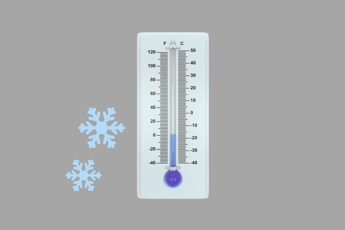 La debacle de la libido