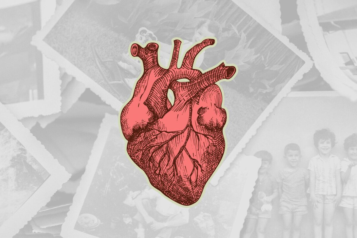 La memoria de los órganos