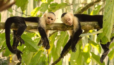 Por qué las mujeres viven más que los hombres: un enigma con raíces evolutivas