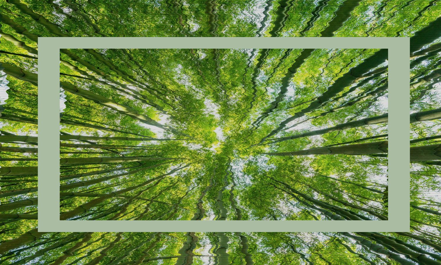 7 ejemplos de soluciones basadas en la naturaleza