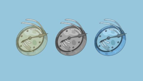 ¿De qué tiempo somos?