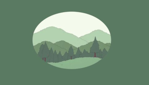 COP30: por qué debemos ser cautos ante el fondo de 125.000 millones de dólares para conservar bosques tropicales