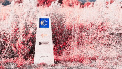 Los beneficios psicológicos del Camino de Santiago