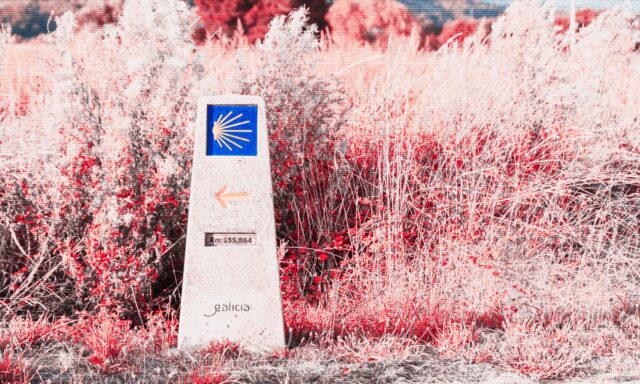 Los beneficios psicológicos del Camino de Santiago