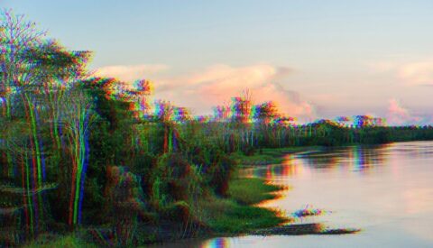 La COP30 ante la encrucijada