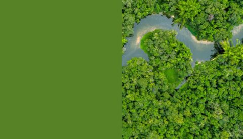 ¿Qué podemos esperar de la COP30?