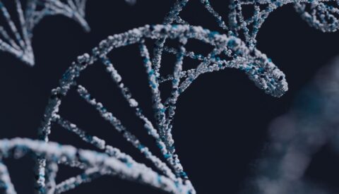 Crean la primera IA capaz de diagnosticar enfermedades ultra raras sin datos familiares