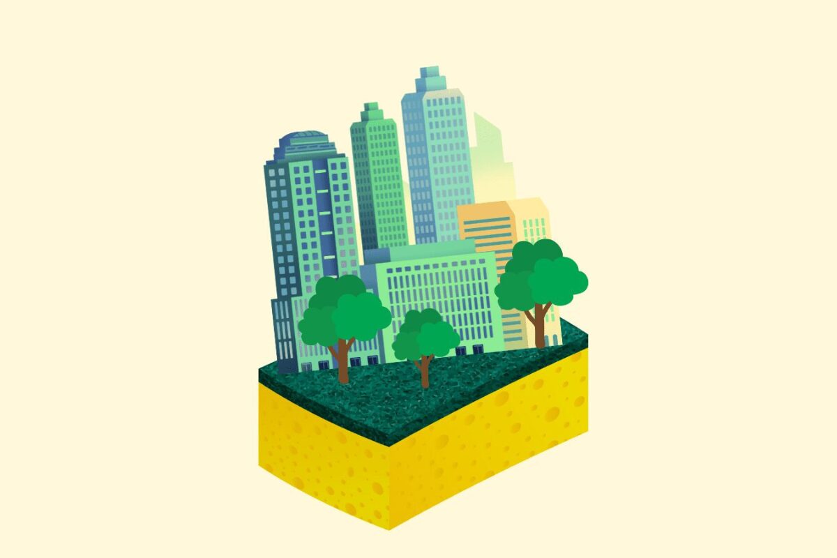 Así son las ciudades esponja