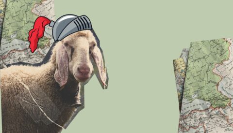 Ir por lana y salir trasquilado