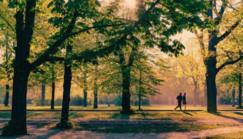 Los parques no son solo para el verano