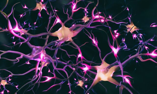 Un nuevo experimento revela que rejuvenecer es posible