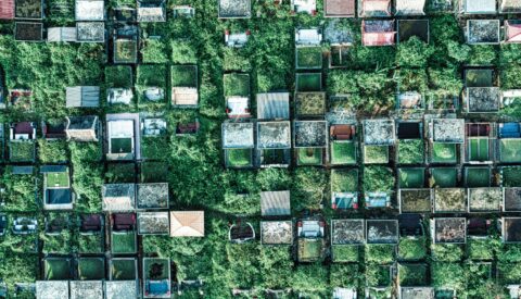 Europa se queda sin zonas verdes