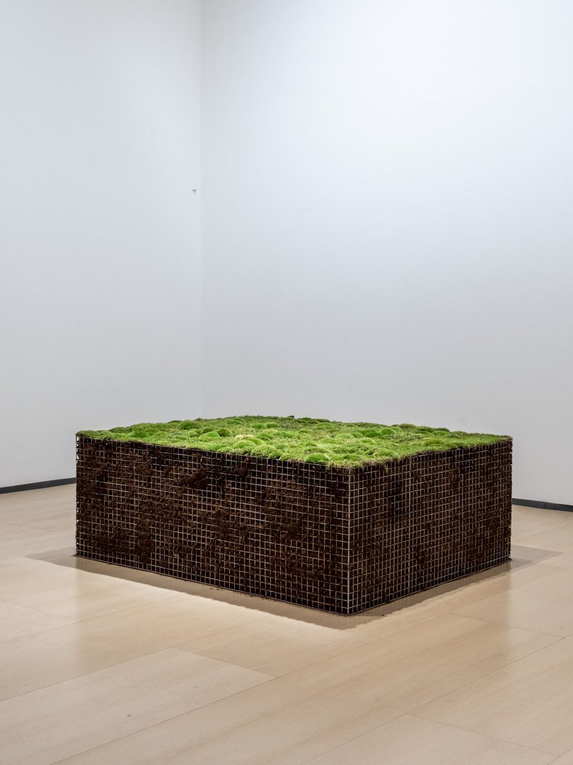 Meg Webster, Volumen para acostarse (Volume for Lying Flat), 2016