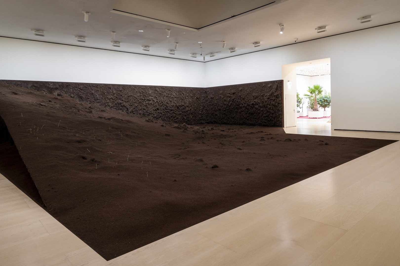 Delcy Morelos, Bruja (Sorgin), 2025