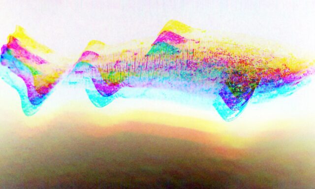 Los seis animales más longevos