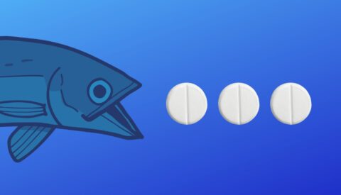 Los peces y la cocaína