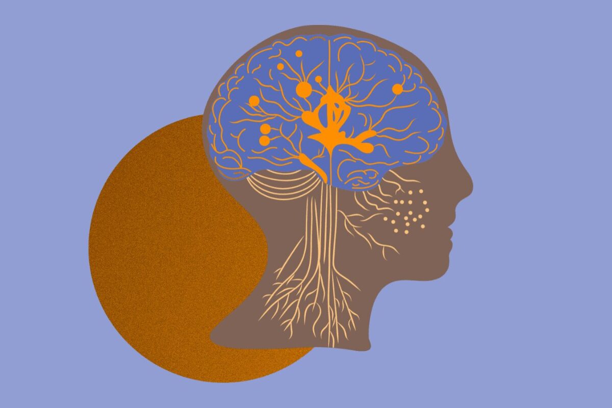 Neuroplasticidad, el cerebro mutable