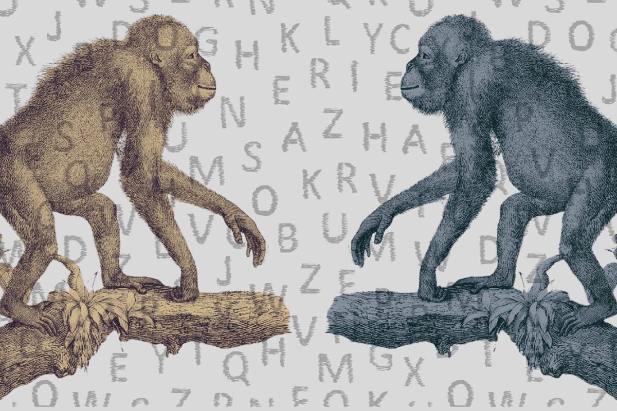 El lenguaje de los monos