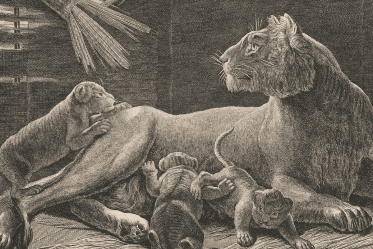 El ligre y otros cruces exóticos