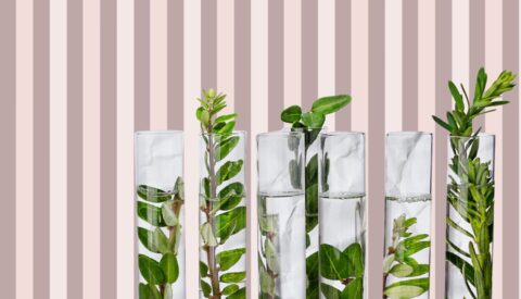 Investigación joven para el cambio