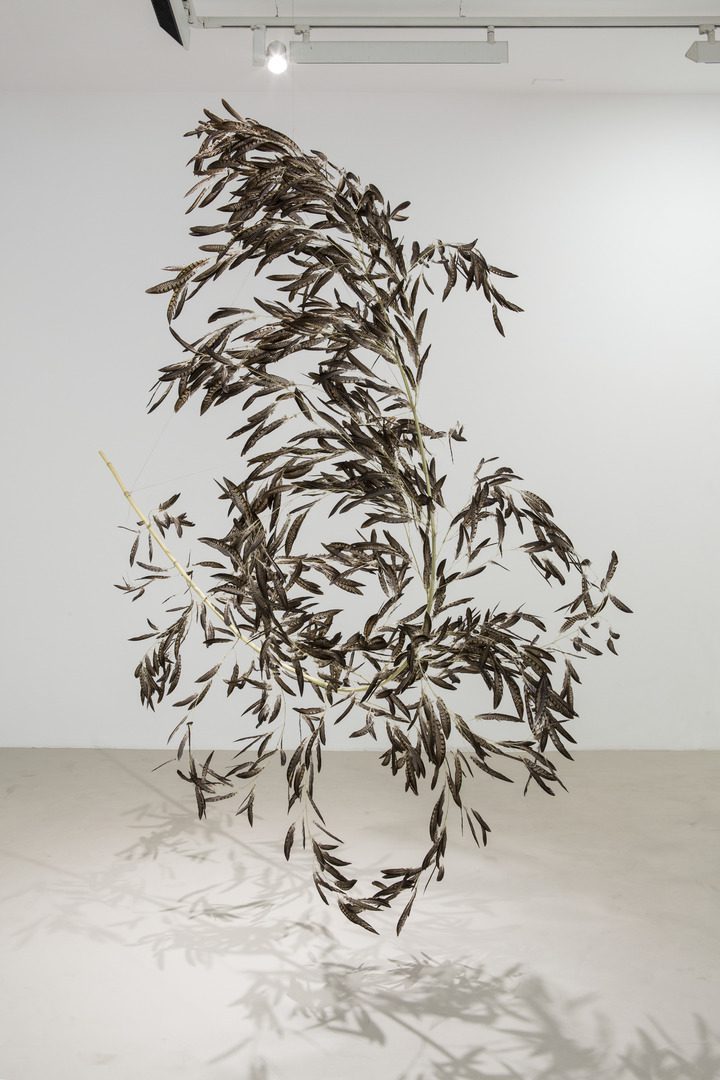 Gabriel Orozco, Roiseau 6, 2012