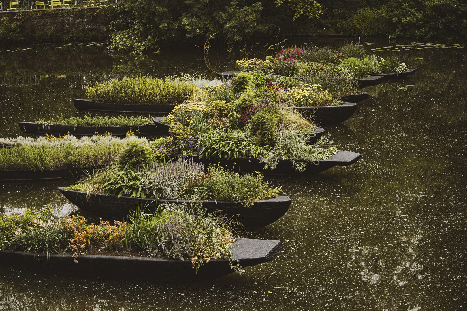 Sumayya Vally, Counterspace, Granos del Paraiso (Grains of Paradise), 2024