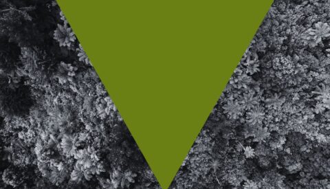 ¿Hablamos de los costes de la no sostenibilidad?