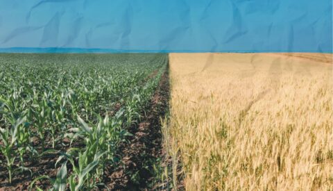 La tragedia de los comunes